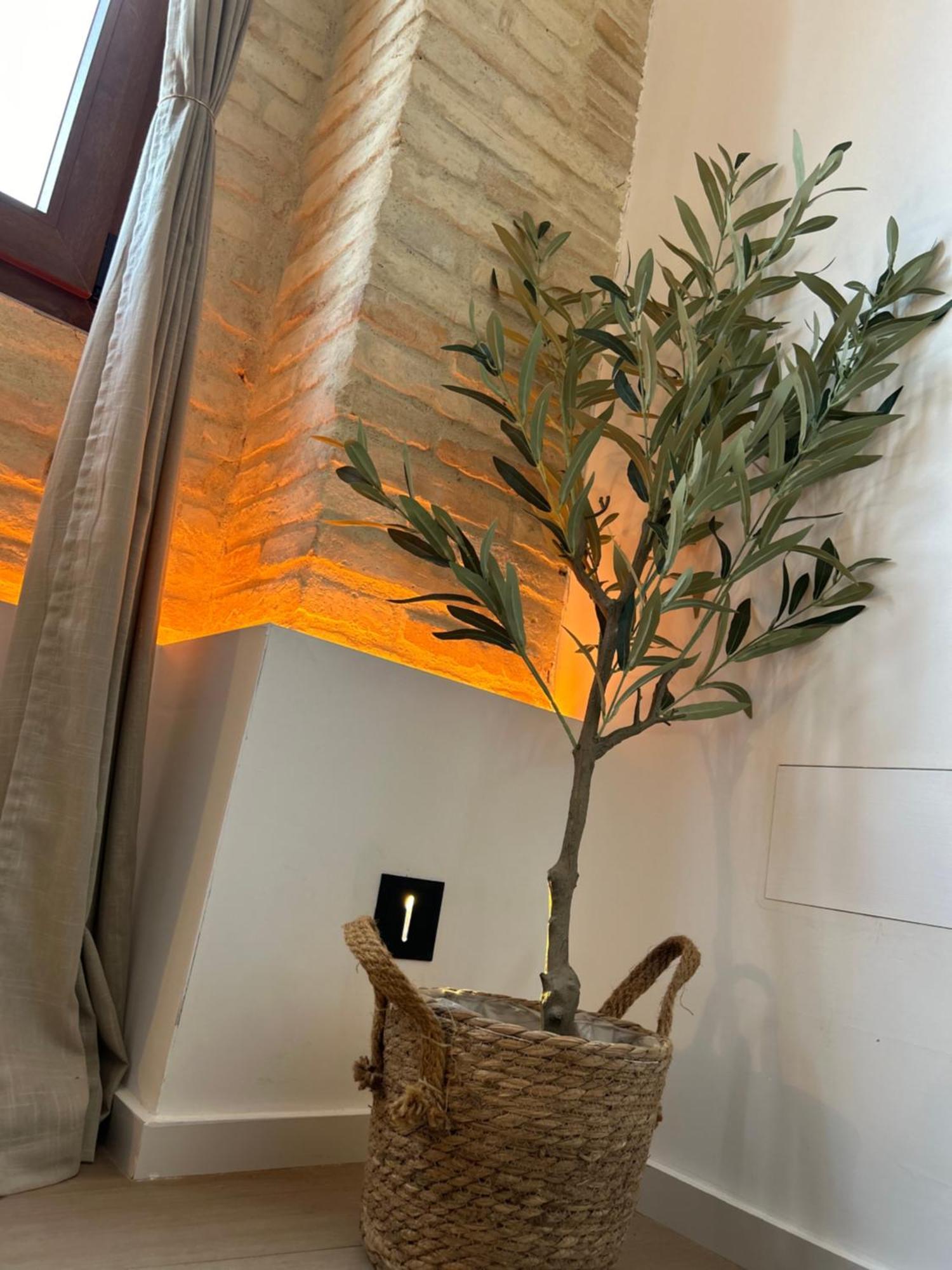 Apartments & Boutique Meraki Ontinyent Exteriér fotografie